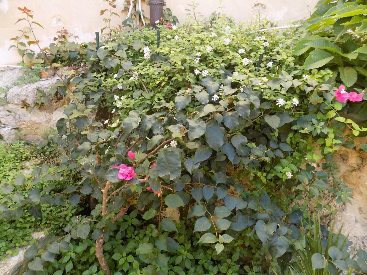 Garden&House Amore Vero Modica Eksteriør bilde